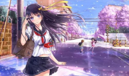 专业动漫,穿越时空的奇幻冒险