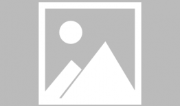 狙击手电视剧在线观看,生死对决，绝境求生