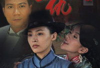 家仇电视剧,复仇之路，家族恩怨的悲歌